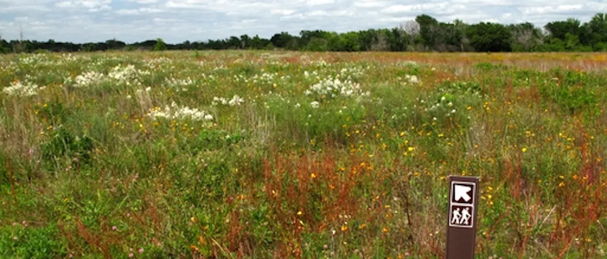 Texas Blackland Prairies One Earth